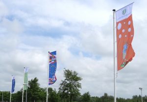 Baniervlaggen