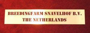 verfsjabloon snavelhof