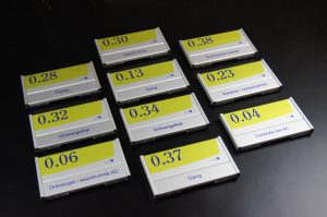 Bewegwijzering Auris