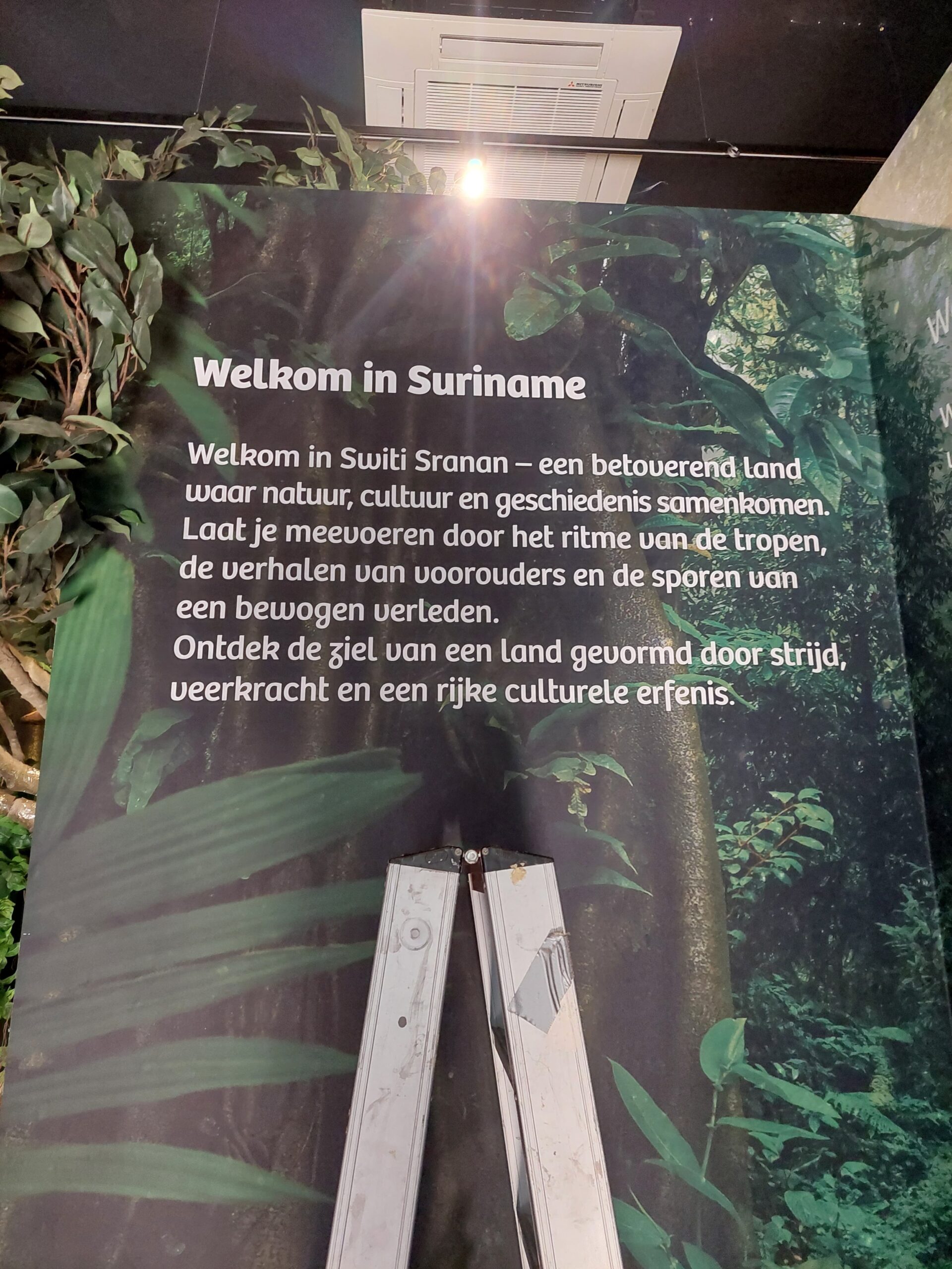 Belettering voor musea